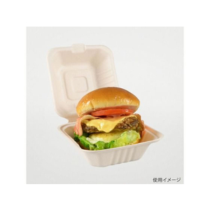 パックスタイル バガス容器 BBランチ 150-150 50枚 FC276SH-00649713-イメージ2