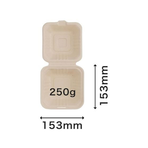 パックスタイル バガス容器 BBランチ 150-150 50枚 FC276SH-00649713-イメージ4
