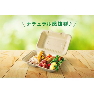 パックスタイル バガス容器 BBランチ 150-150 50枚 FC276SH-00649713-イメージ7