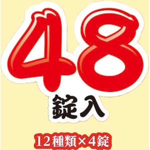 白元アース いい湯旅立ちにごり炭酸湯 ゆったり日和 48錠 FC922NW-イメージ3