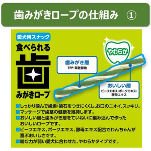 アースペット 食べられる歯みがきロープ 愛犬用やわらかS 55g FCE870K-イメージ3