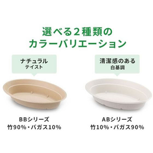 パックスタイル バガス容器 ABカレー C-1 ラミ 本体 50枚 FC278SH-00650528-イメージ10