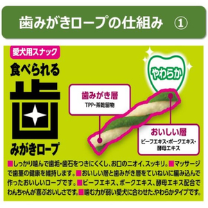 アースペット 食べられる歯みがきロープ 愛犬用やわらかSS 45g FCE871K-イメージ3