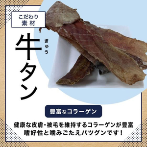 ペットプロジャパン 国産おやつ 無添加牛タン皮 細切り 140g FCU9290-イメージ5
