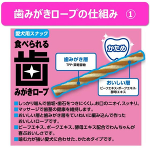 アースペット 食べられる歯みがきロープ 愛犬用かためS 65g FCE872K-イメージ3