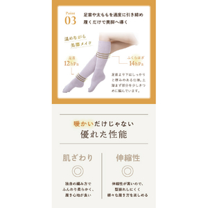 グローバル・ジャパン 湯たんぽみたいなあったかソックス トープ I09-05-イメージ13