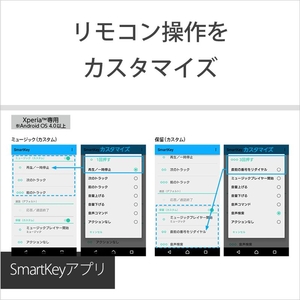 SONY 密閉型インナーイヤーヘッドホン アクアバイオレット MDR-EX15APV-イメージ3