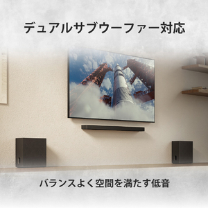SONY サブウーファー SA-SW8-イメージ8