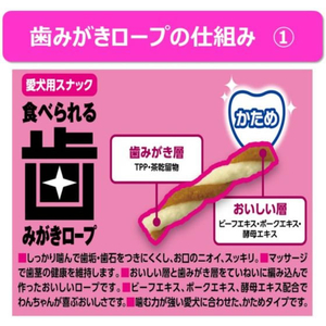 アースペット アース・ペット/歯みがきロープ 愛犬 かため SS 55g FCE873K-イメージ3