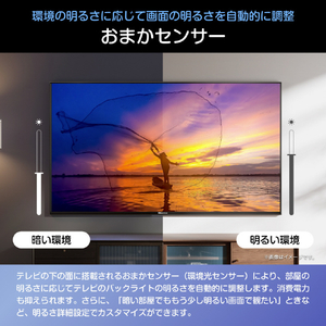 ハイセンス 65V型4K液晶テレビ A6Sシリーズ 65A6S-イメージ12