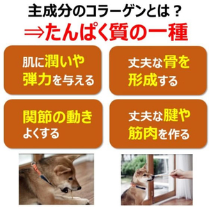 アースペット 食べられる歯みがきロープ 愛犬用コラーゲンS 5本 FCE874K-イメージ4