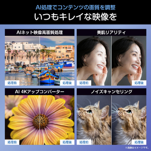 ハイセンス 55V型4K液晶テレビ A6Sシリーズ 55A6S-イメージ4