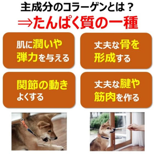 アースペット 食べられる歯みがきロープ 愛犬用コラーゲン SSサイズ 7本入 FCE875K-イメージ4
