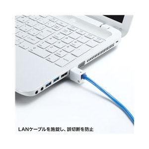 サンワサプライ LANケーブルロック(特殊レンチタイプ) SL-78-イメージ2
