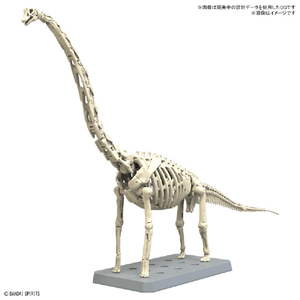 バンダイスピリッツ プラノサウルス ブラキオサウルス ﾌﾟﾗﾉｻｳﾙｽ10ﾌﾞﾗｷｵｻｳﾙｽ-イメージ2