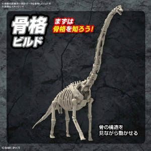 バンダイスピリッツ プラノサウルス ブラキオサウルス ﾌﾟﾗﾉｻｳﾙｽ10ﾌﾞﾗｷｵｻｳﾙｽ-イメージ6