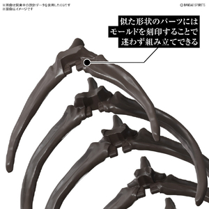 バンダイスピリッツ 1/32 Imaginary Skeleton モササウルス ISﾓｻｻｳﾙｽ-イメージ6