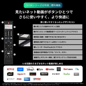TVS REGZA 4K Mini LED 液晶 REGZA 大画面フラッグシップMini LED 100Z970R-イメージ12