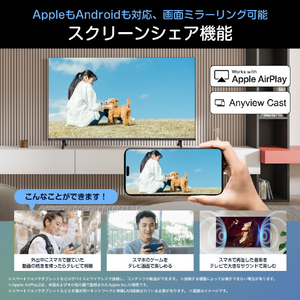 ハイセンス 65V型4K液晶テレビ C55Sシリーズ 65C55S-イメージ6