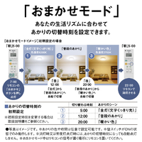 パナソニック HH-CL1092A ～10畳 LEDシーリングライト パルックLED