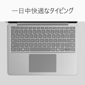 マイクロソフト Surface Laptop 13 インチ(第 2 世代) SnapdragonR X2 Plus/16/256 プラチナ EP2-77791-イメージ14