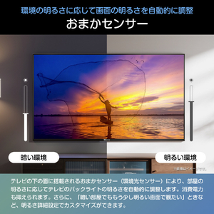 ハイセンス 50V型4K液晶テレビ C55Sシリーズ 50C55S-イメージ12