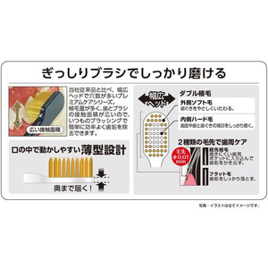 エビス プレミアムケアハブラシ 6列ラージ やわらかめ FC251RK-イメージ3
