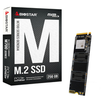 BIOSTAR SSD(256GB) M700シリーズ M700256GB