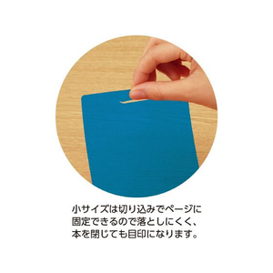 コクヨ キャンパス 青色シートで覚える暗記用シート PM-MS322-S FC502SN-PM-MS322-S-イメージ7