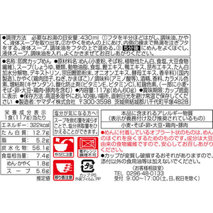 ヤマダイ 凄麺 そばの逸品鴨だしそば×12食 FC416SH-イメージ2
