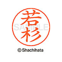 シヤチハタ ネームペン用ネーム シルバー 既製 若杉 FC47761-X-GPS-1990