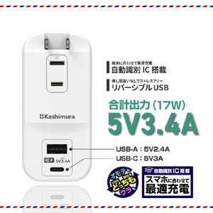 カシムラ 旅行用電源タップ AC3 USBA+C 3．4A 自動識別 リバーシブル ホワイト WM-34-イメージ4
