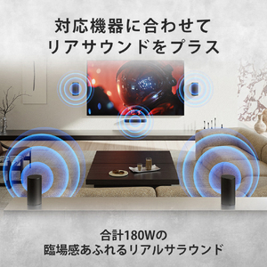SONY リアスピーカー SA-RS9-イメージ3