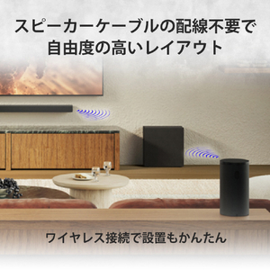 SONY リアスピーカー SA-RS9-イメージ7