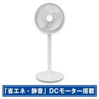 SKジャパン DCモーター搭載リビング扇風機 白 SKJ-SY21BDC(W)