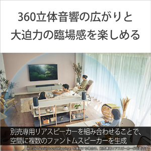 SONY サウンドバー HT-A3000-イメージ9