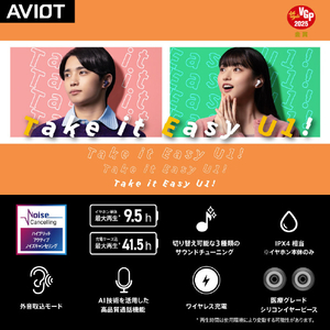 AVIOT トゥルーワイヤレスイヤホン ネイビー TE-U1-NV-イメージ9