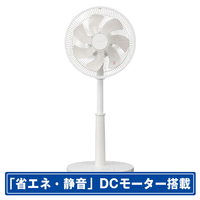東芝 DCモーター搭載リビング扇風機 TF-30DL29(W)