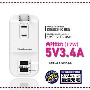 カシムラ 旅行用電源タップ AC3 USBA2 3．4A 自動識別 リバーシブル ホワイト WM-35-イメージ4