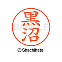 シヤチハタ ネームペン用ネーム シルバー 既製 黒沼 FC46776-X-GPS-1005