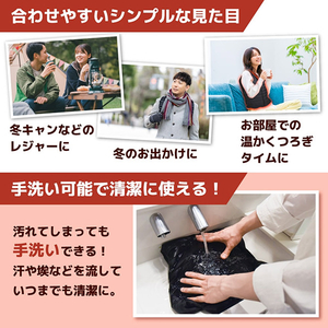 サンコー 洗えるヒーターベスト HEATBTSBK-イメージ6
