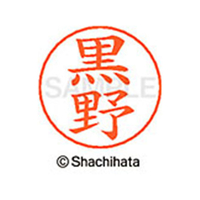 シヤチハタ ネームペン用ネーム シルバー 既製 黒野 FC46777-X-GPS-1006