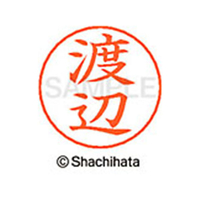 シヤチハタ ネームペン用ネーム シルバー 既製 渡辺 FC47767-X-GPS-1996