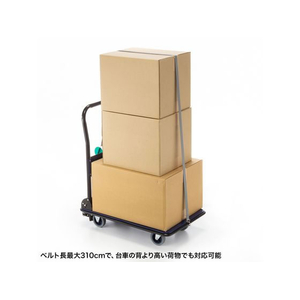 サンワサプライ 台車荷落下防止ベルト FC874TH-QL-E100-イメージ7