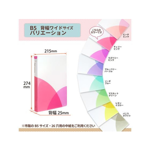 プラス PASTYルーズリーフバインダー B5-S ワイド チェリーピンク FCC1710-98-811/FC-810PR-イメージ5