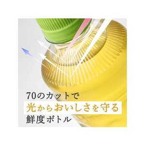 伊藤園 お抹茶入りお～いお茶600ml FC873PC-イメージ4