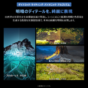 TCL 65V型4Kチューナー内蔵4K対応液晶テレビ 65T6D-イメージ19