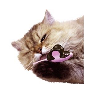 ドギーマンハヤシ じゃれ猫 発見！またたび鼠 ｼﾞﾔﾚﾈｺﾊﾂｹﾝﾏﾀﾀﾋﾞﾈｽﾞﾐ-イメージ3