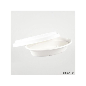 パックスタイル バガス容器 新ABカレー C-2 ラミ 本体 50枚 FC220TH-781843-イメージ2