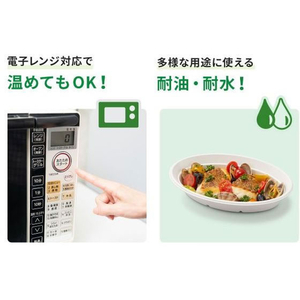 パックスタイル バガス容器 新ABカレー C-2 ラミ 本体 50枚 FC220TH-781843-イメージ9